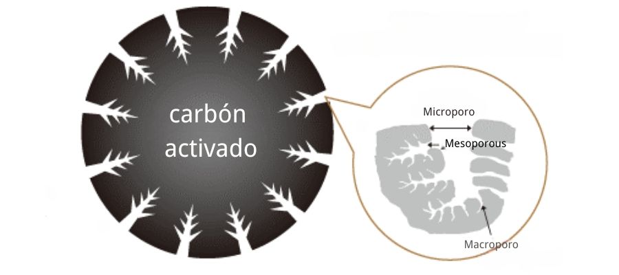 Estructura porosa del carbón activado