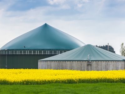 Purificacion del biogas