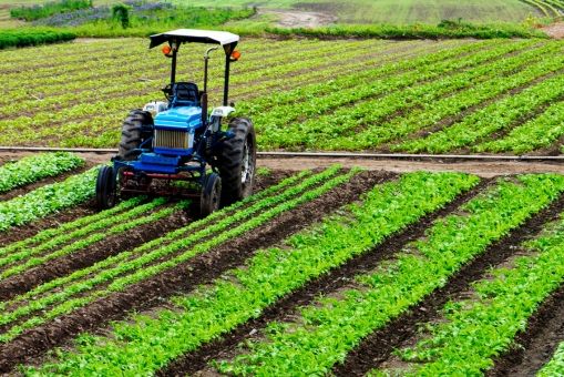 Agricultura