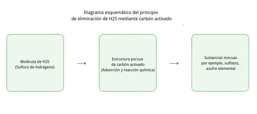 Schéma de principe de l'élimination du H2S par le charbon actif