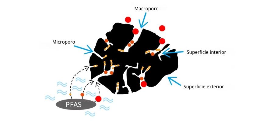 Principio de adsorcion del carbon activado para la eliminacion de PFAS