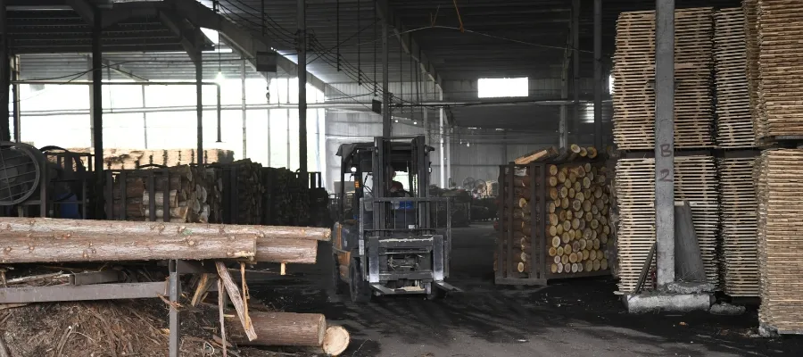 Planta de produccion de carbon activado a base de madera